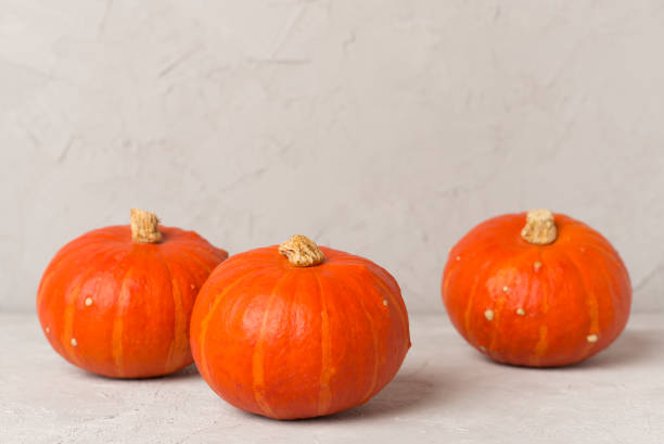 istock Orange pumpkins with autumn decor on concrete background 2161491360