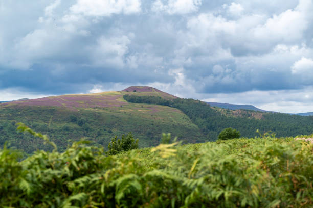 Brooding Blue Valley 180+ Restfulness Stock Photos, Pictures & Royalty-Free Images - iStock