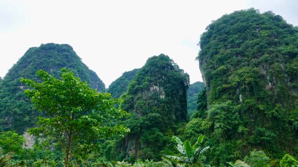 istock The Dry Halong Bay 2161493996
