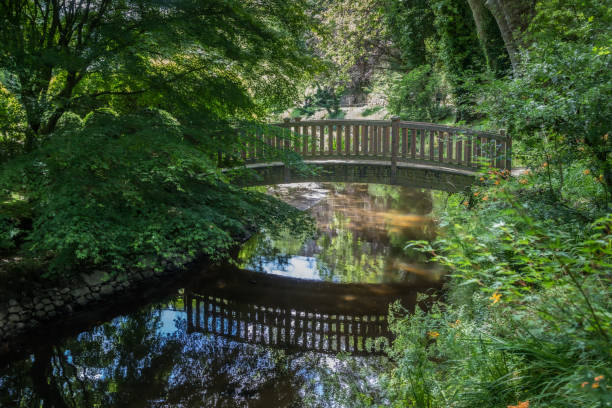 istock the eastern park of Maulevrier 2161495053