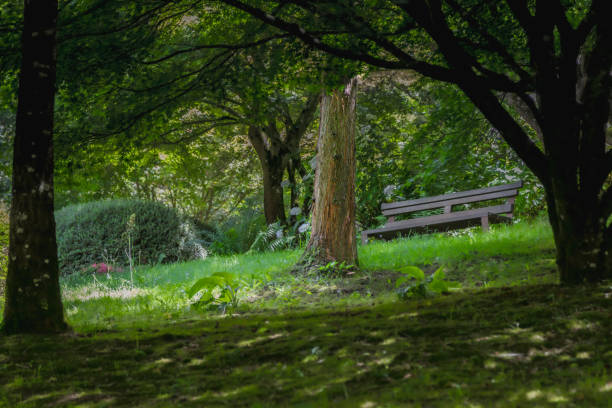 istock the eastern park of Maulevrier 2161495089