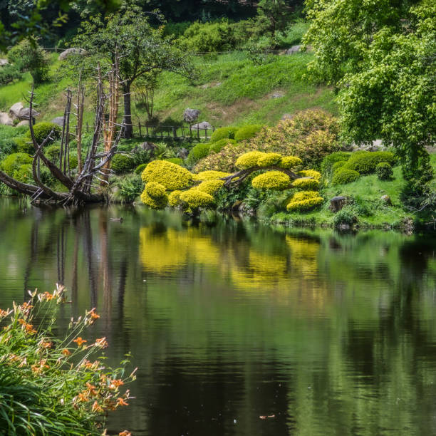 View of Japanese garden on an overcast day