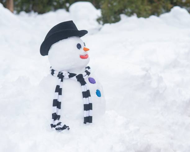 istock Snowman in a hat and a striped scarf. Winter fun. 2161496316