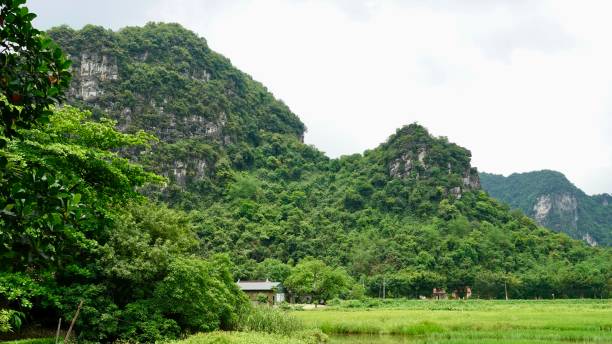 istock The Dry Halong Bay 2161496455