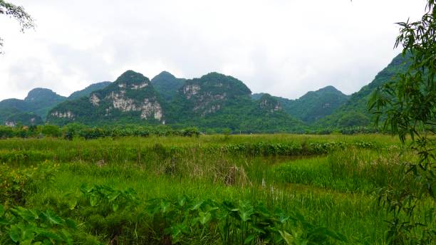 istock The Dry Halong Bay 2161496458