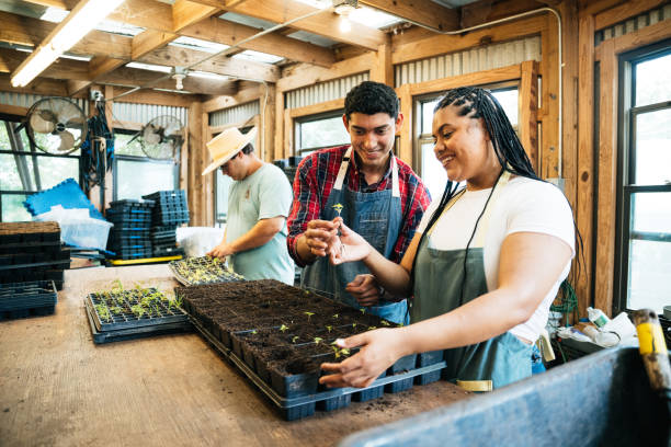 istock Farmers planting sprouted seeds 2161497546