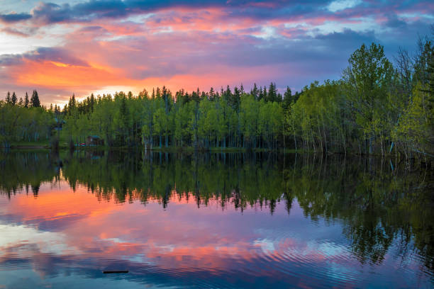 istock Beautiful twilight sky reflecting in a lake surrounded by forest 2161497815