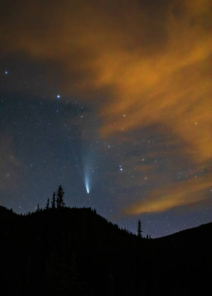 istock Comet neowise shining over forest with orange clouds and stars 2161497839