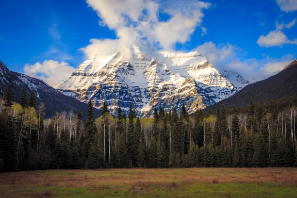 Majestic snow-capped mountain towering over a forest and meadow, with dramatic clouds building in the sky