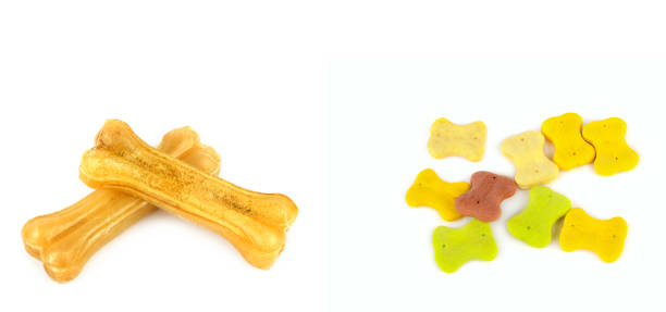 istock Dry food, dog biscuits and chewing bone isolated on white. There is free space for text. Collage. Wide photo. 2161500126