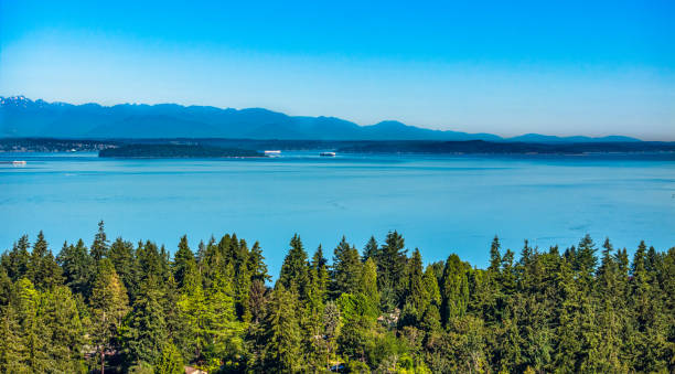 istock Above Burien Puget Sound 2161500223