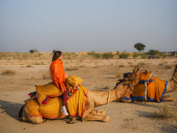 Closeup of head of an Indian Camel walking on the path