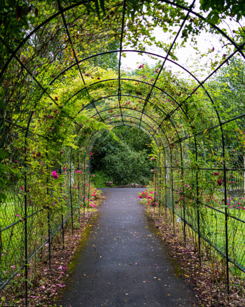 istock Adare Village, County Limerick, Ireland 2161504024