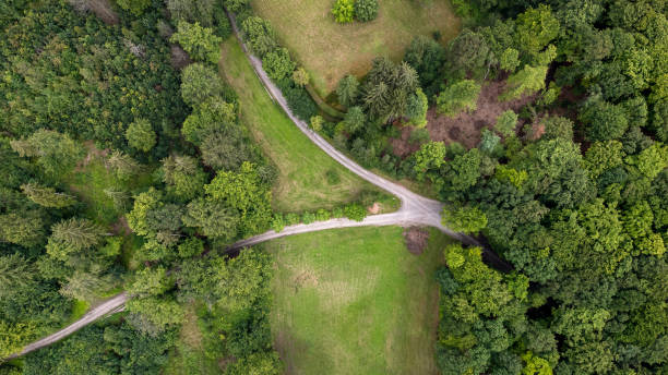 istock Forest - aerial view over Mittelgebirge Spessart 2161504595
