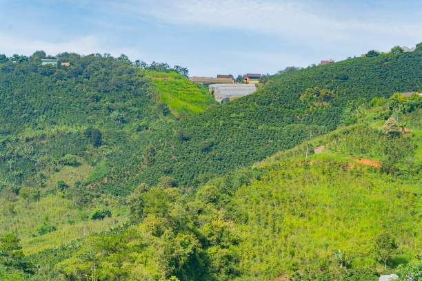 istock The natural landscape. 2161509589