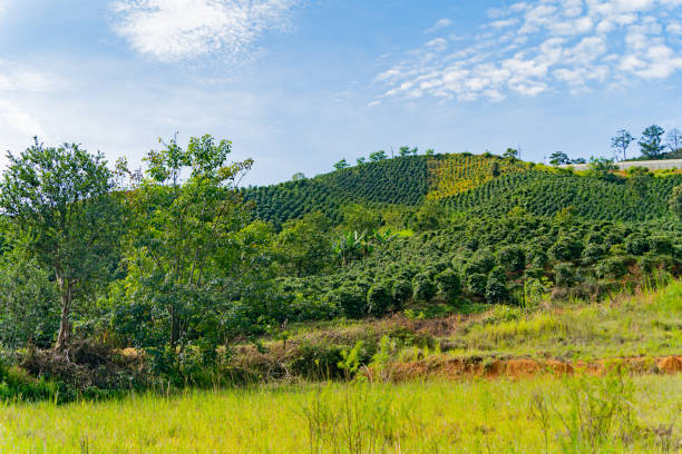 istock The natural landscape. 2161510348