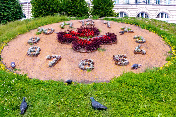Flower bed in shape of clock. Walking pigeons.