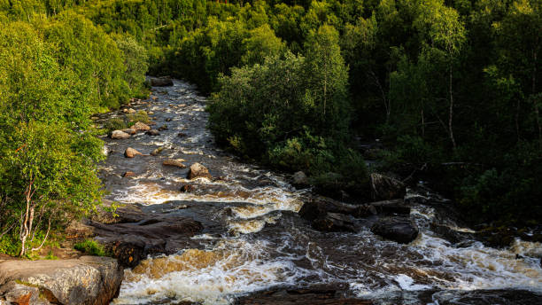 istock A river runs through a green forest, highlighting natural beauty 2161510541