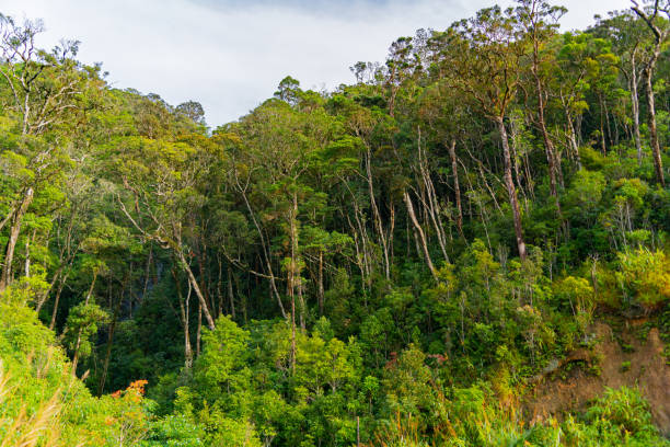 istock The natural landscape. 2161510545
