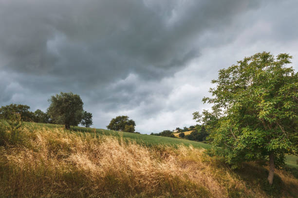 Beautiful landscape before the storm, lush foliage and green fields