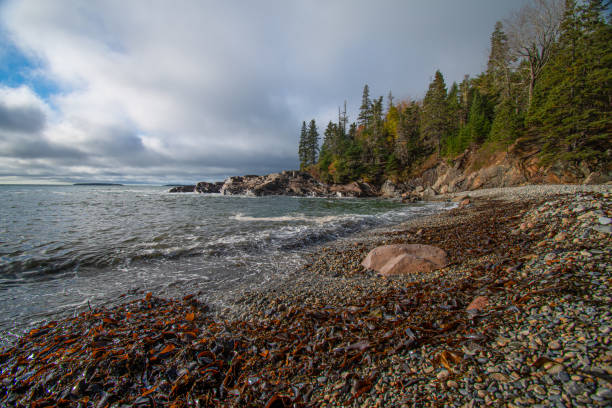 The Ocean Path Trail meanders along vast slabs of pink granite, picturesque cliffs, and breathtaking oceans views of the striking coast of Maine. The Ocean Path is a great way to access Thunder Hole and Otter Point from Sand Beach on a gradual hike. This picturesque hike is a great way to experience  Acadia National Park.
