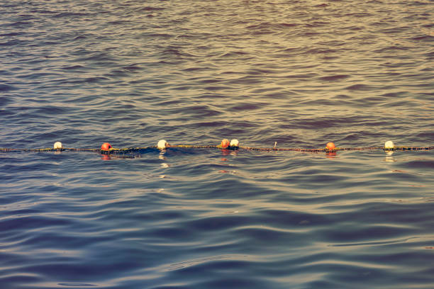 Red bouy on a calm bloody lake - concept image with copy space\