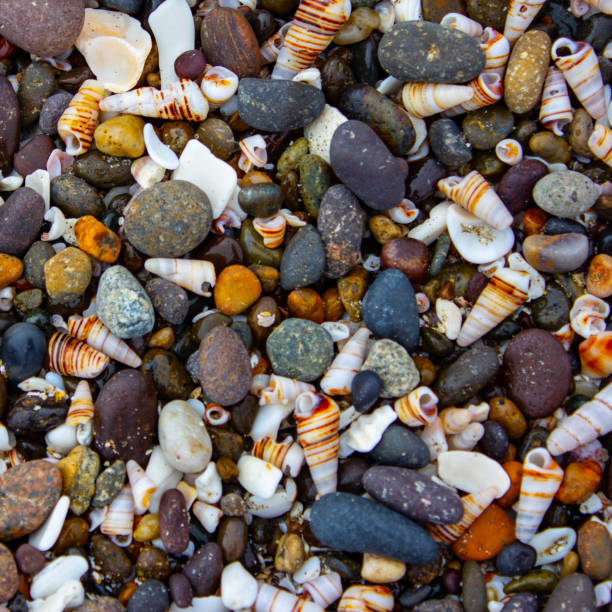 How beautiful is nature creating wonderful things