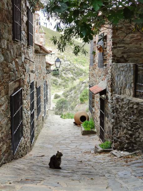 istock Black cat resting in Patones de Arriba, Spain 2161527637