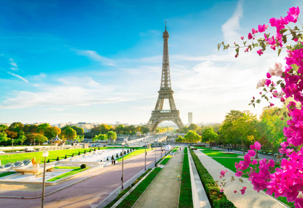 istock eiffel tour and from Trocadero, Paris 2161529392