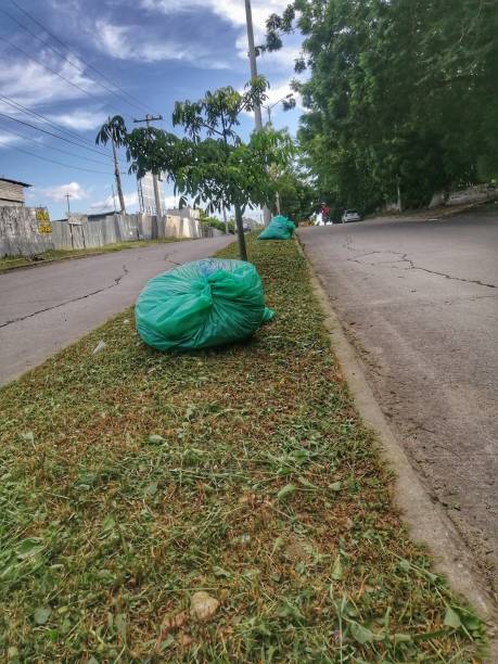 istock Pruning and sweeping grass in public areas 2161534420