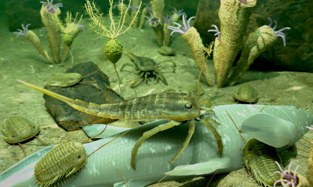 istock Silurian Period Seafloor Scene 2161537885