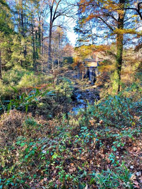 istock Tranquil Woodland Waterfall 2161537920