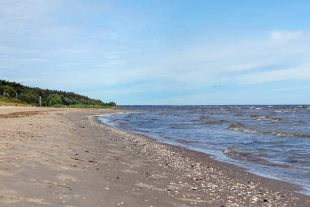 istock natural view with beach and forest edge 2161538300
