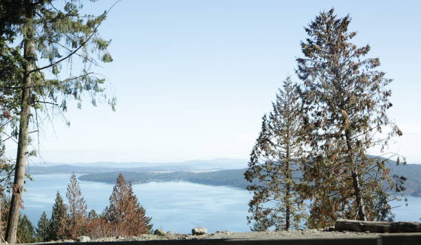 Sisters on mountain top view point above Pacific Ocean in summer, distant Gulf Islands, Saturna Island, B.C.