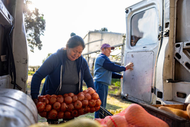 Happy Latin American farmer loading a truck with organic vegetables and smiling - food transportation concepts