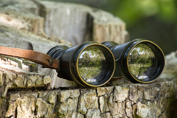 istock Antique binoculars on tree stump in nature setting reflecting outdoor landscape 2161566246