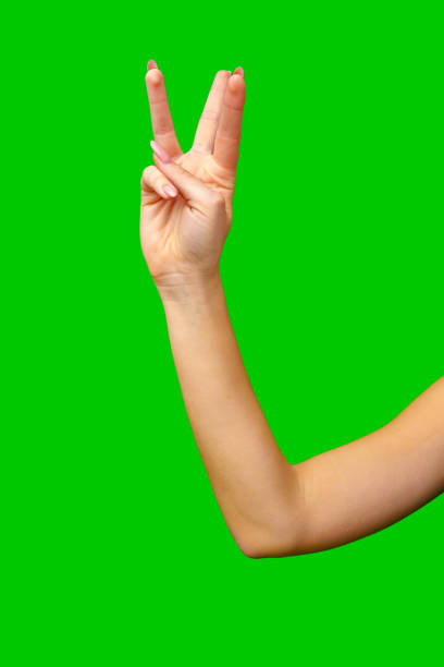 istock Woman Holding Out Hand on Green Screen 2161571108