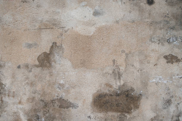 istock Old concrete wall background, with cracked paint. Cement texture. Weathered wall. 2161573158