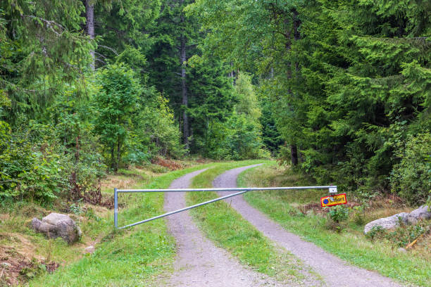 Barrier into a forest area