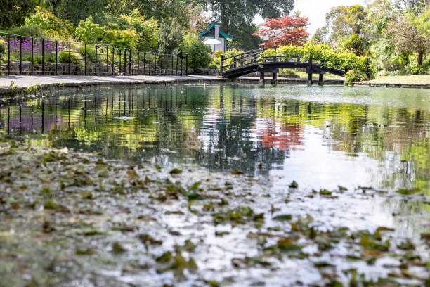 istock Garden bridge Guildford Surrey England 2161578807