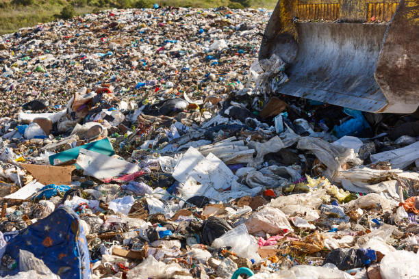 istock Heavy machinery shredding garbage in an open air landfill. Pollution 2161581176