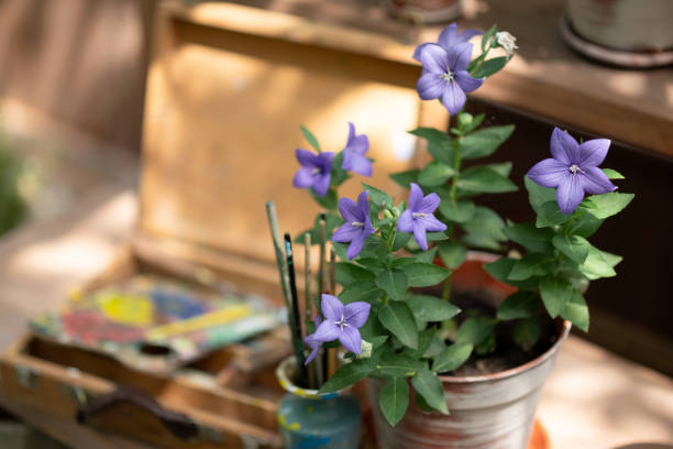 Artist's Corner with Purple Flowers