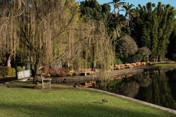 istock Lake and trees in a park 2161582409