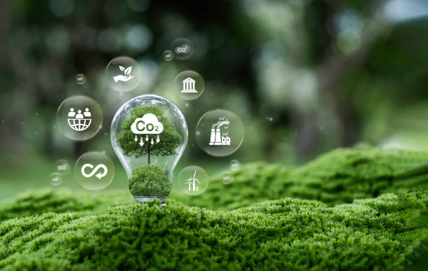 istock CO2 emissions, Light bulb with tree growing in nature. Goal of net zero carbon emissions 2050. carbon dioxide CO2 molecules. 2161582943