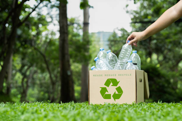 istock Hand holding plastic bottle put in a box to recycling Recycle reduce reuse in zero waste concept. 2161582960