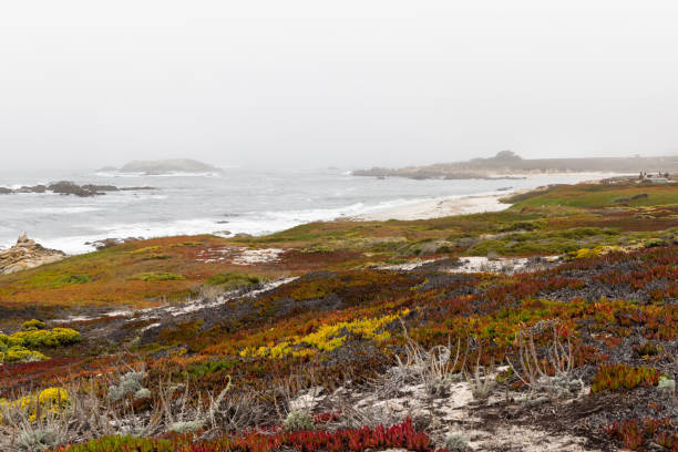 Big Sur is a scenic portion of the California coastline of the Pacific Ocean in near Monterey.
