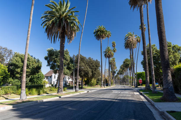 istock Beverly Hills street with tall palm trees 2161585656