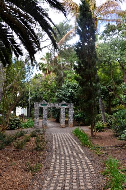 istock Santa Cruz de Tenerife park (Parque García Sanabria) 2161586526