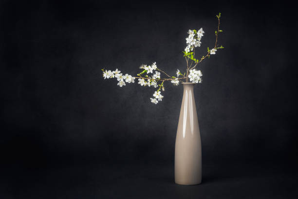 istock Still life with a blossoming twig with white flowers 2161593692