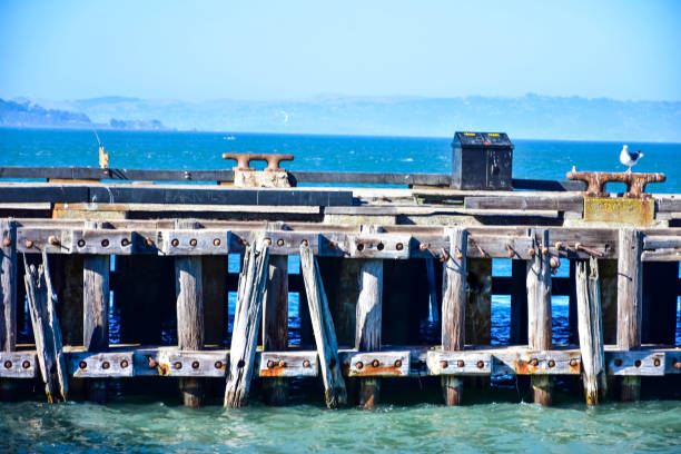 istock Torpedo Wharf in San Francisco 2161612481